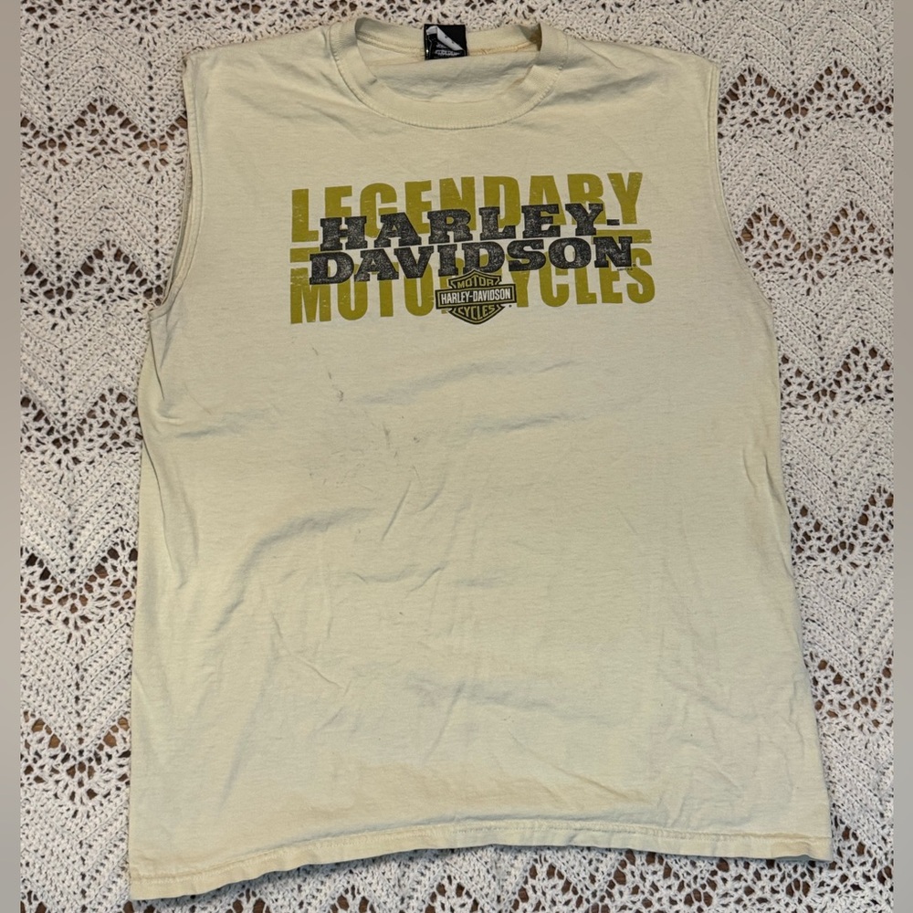 Harley-Davidson Sleeveless Top Men’s Size Large Back Graphic 2011 Wisconsin